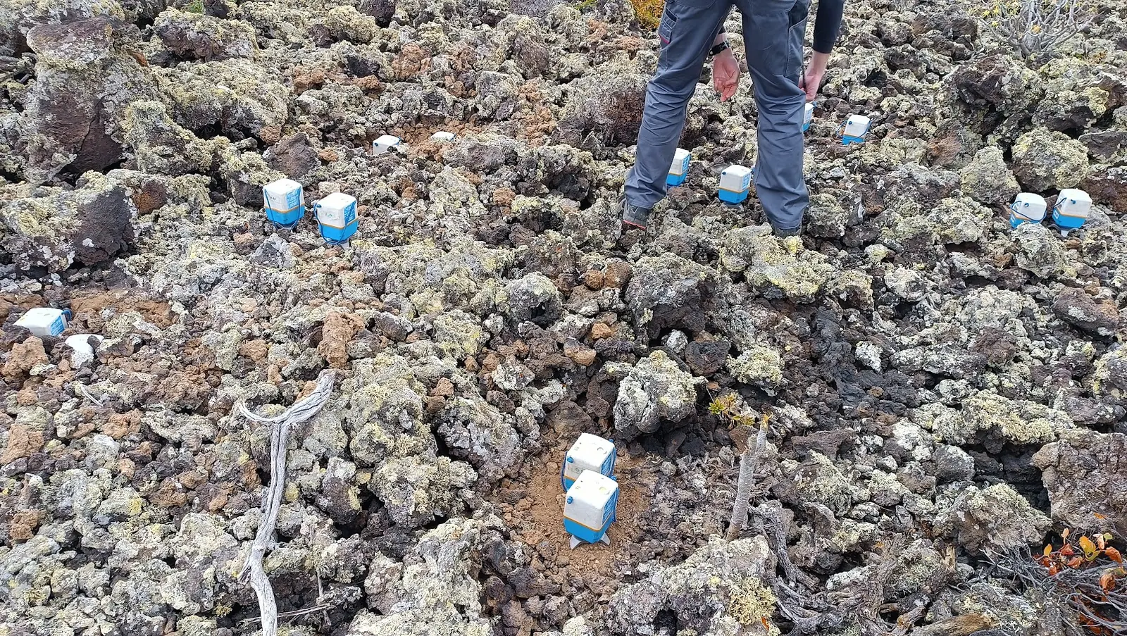 Seismic sensors placed on the rocky field site.