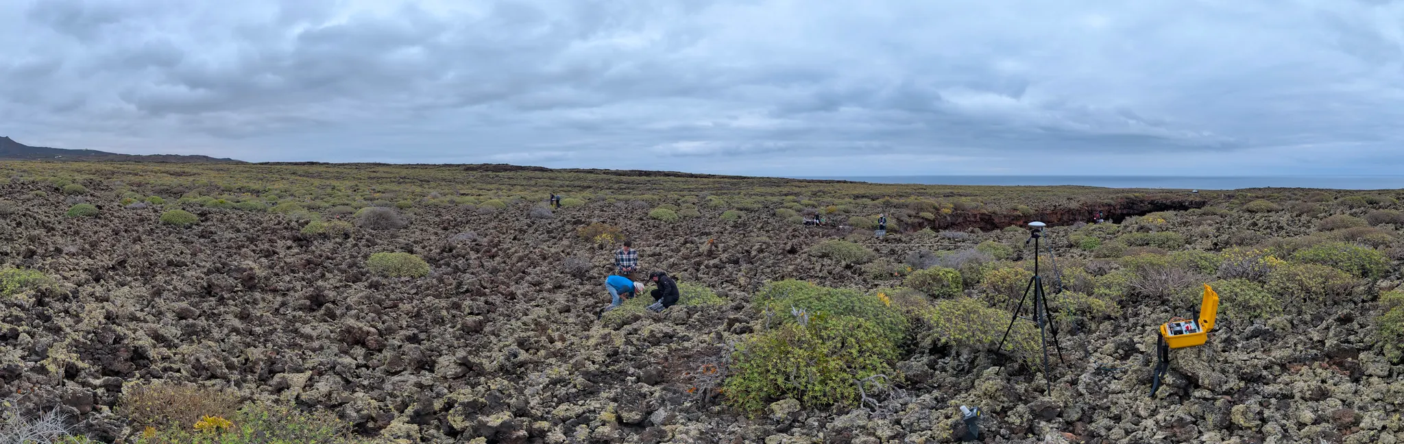 A panoramic view of the Lanzarote survey area.