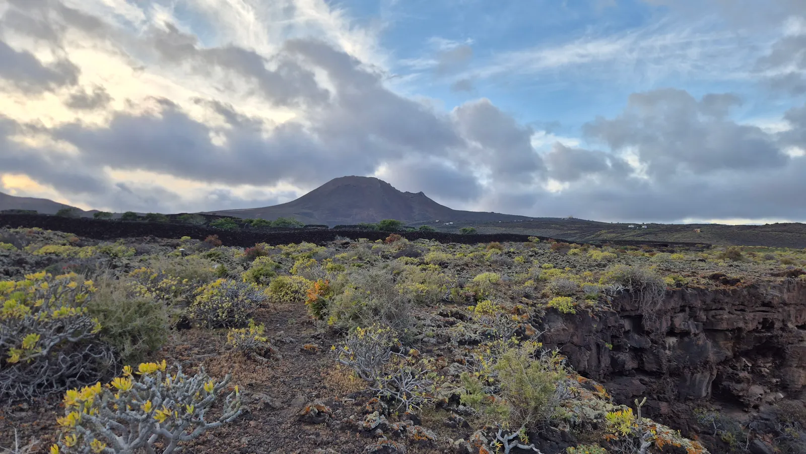 The volcanic landscape at the Lanzarote field site.