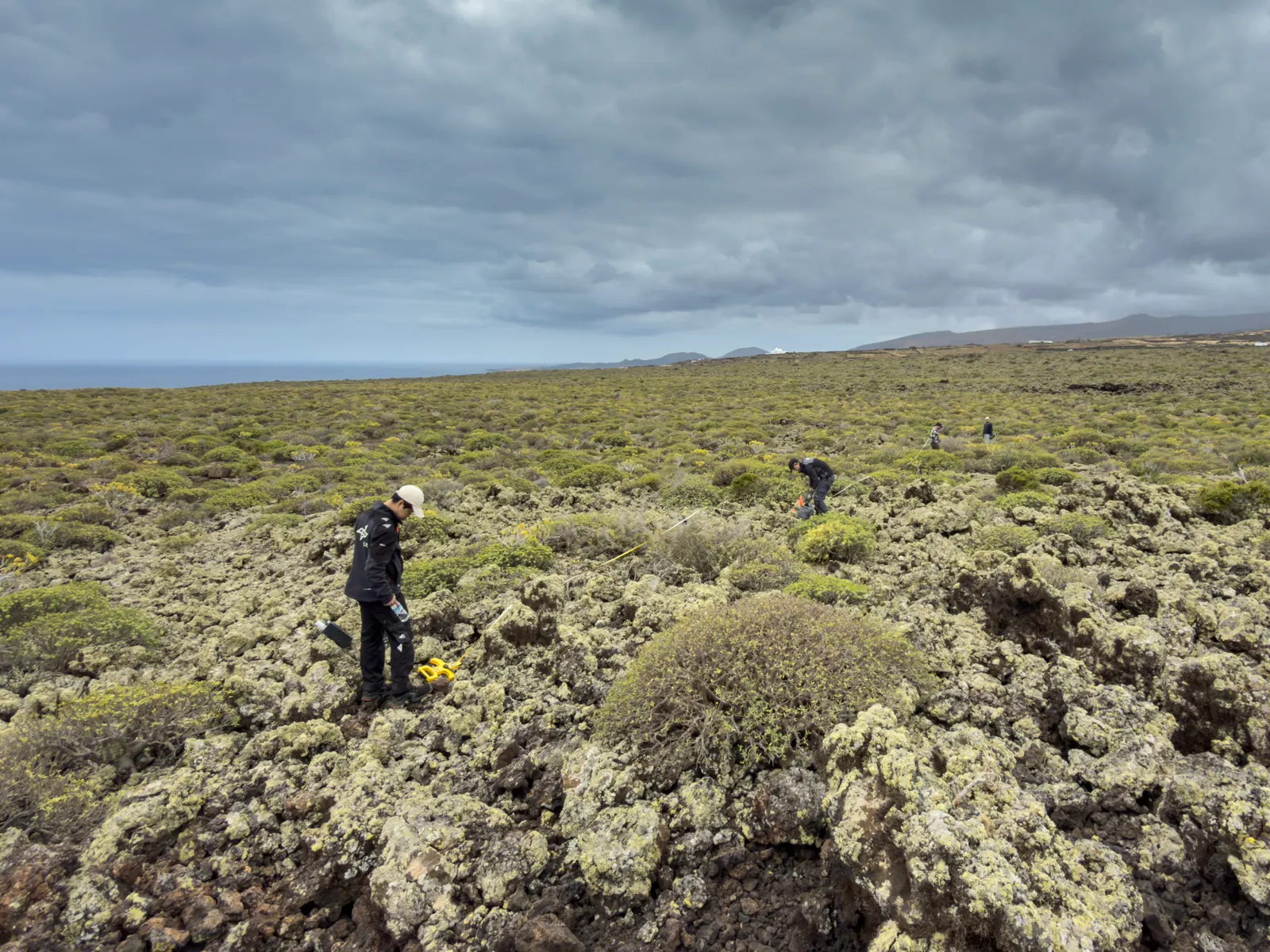 Working along a measurement line across the lava field.